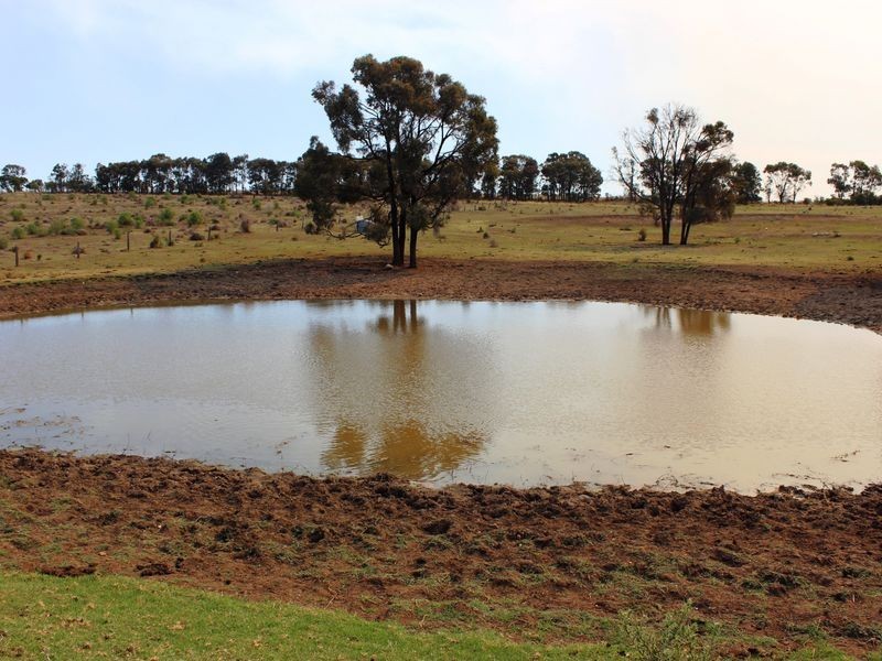 Cnr Heckendorf & Milmerran-Inglewood Rd, Kooroongarra QLD 4357