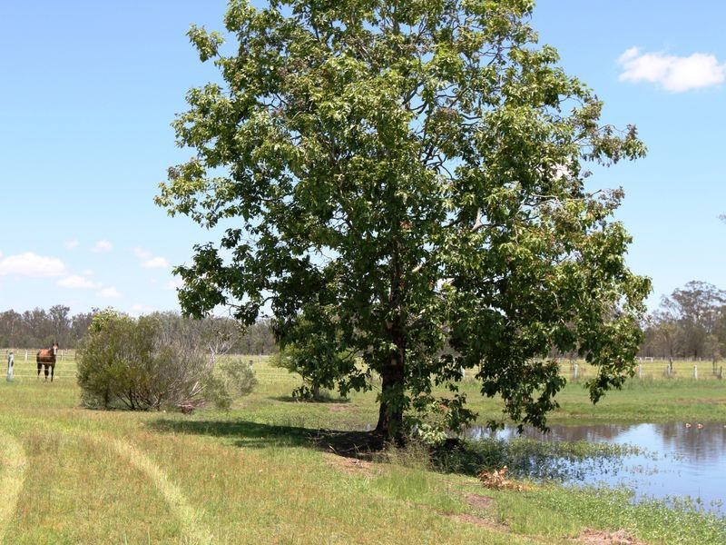 25 Nandine Road, Churchable QLD 4311