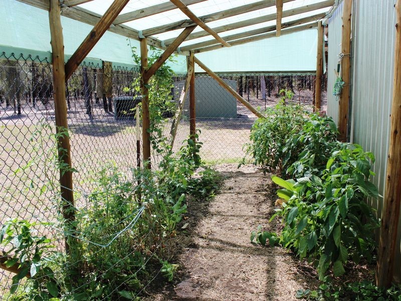 99 Koala Drive, Kooroongarra QLD 4357