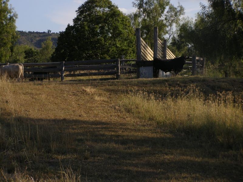 926 Spa Water Road, Iredale QLD 4352