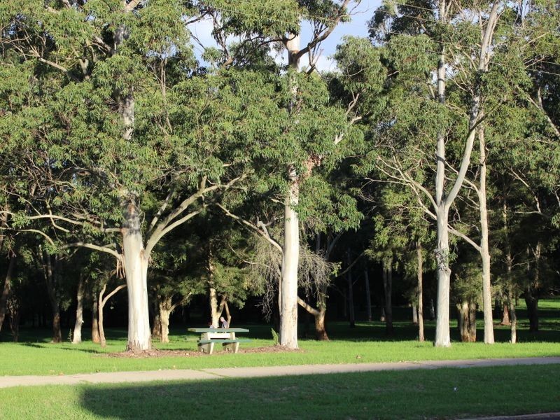 323 Tor Street, Wilsonton QLD 4350