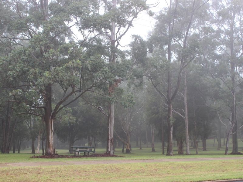 323 Tor Street, Wilsonton QLD 4350