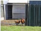 851 Spa Water Road, Iredale QLD 4352