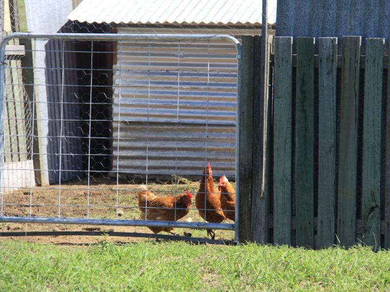 851 Spa Water Road, Iredale QLD 4352