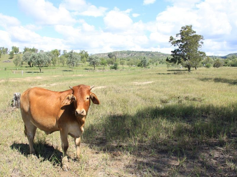 851 Spa Water Road, Iredale QLD 4352