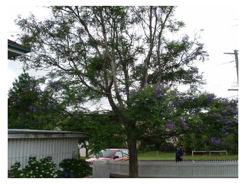 127 Perth Street, Centenary Heights QLD 4350