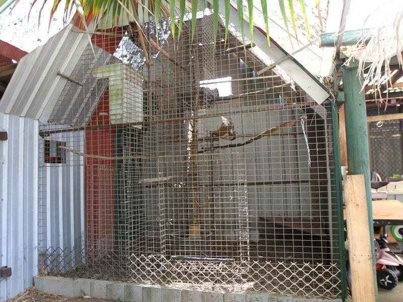 4 Moselle Court, Blue Mountain Heights QLD 4350