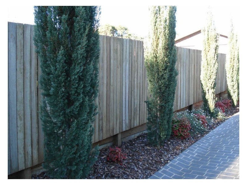 5/242 Mackenzie Street, Rangeville QLD 4350