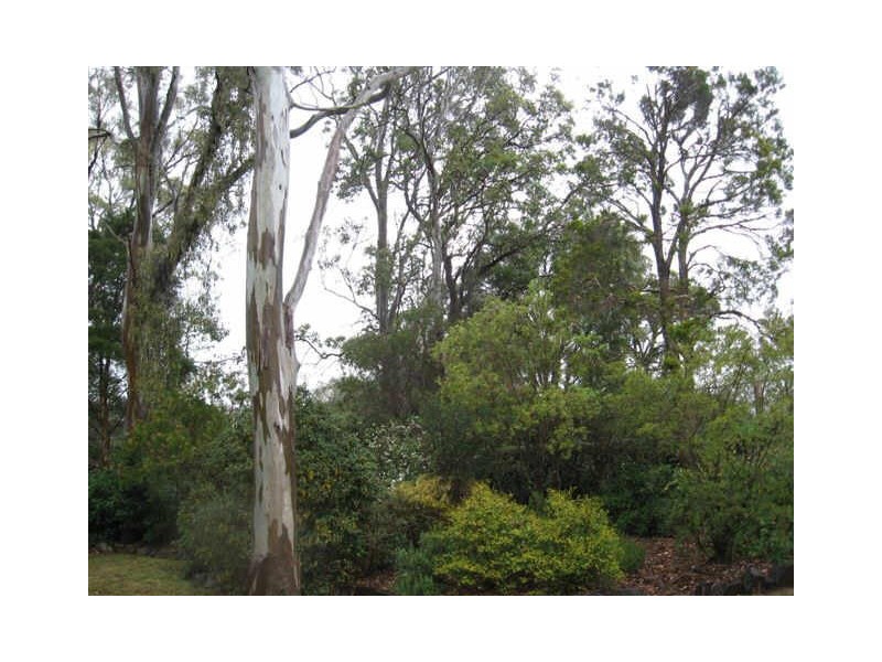 442 Hume Street, Middle Ridge QLD 4350