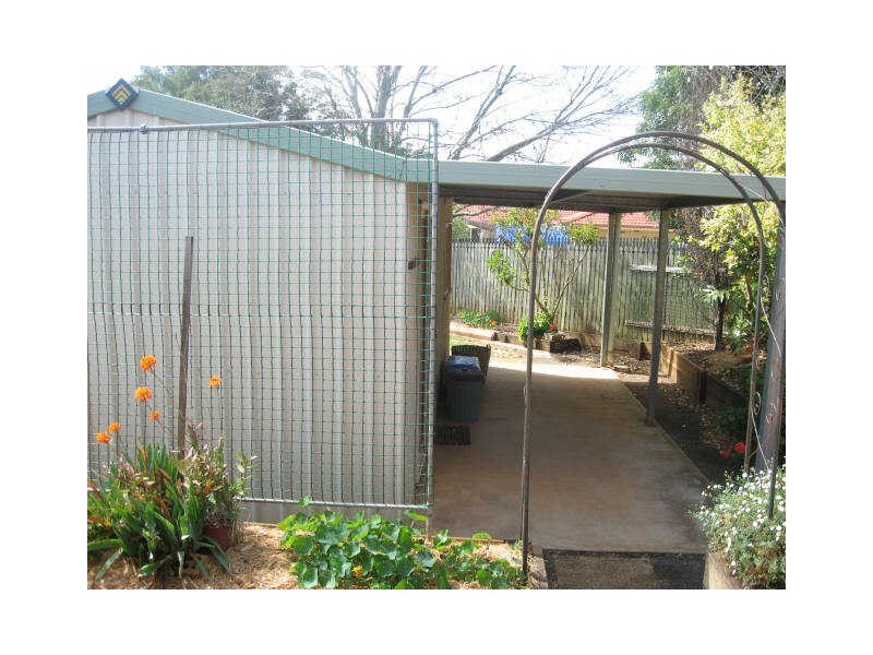 3 Shamrock Court, Middle Ridge QLD 4350