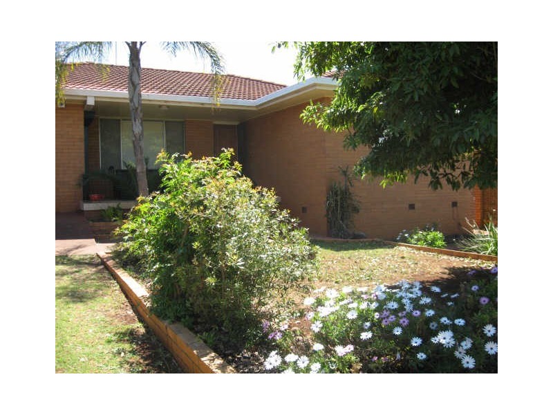 49 Debra Street, Centenary Heights QLD 4350