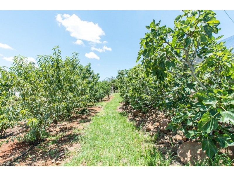 9-15 Rosevale Street, Darling Heights QLD 4350