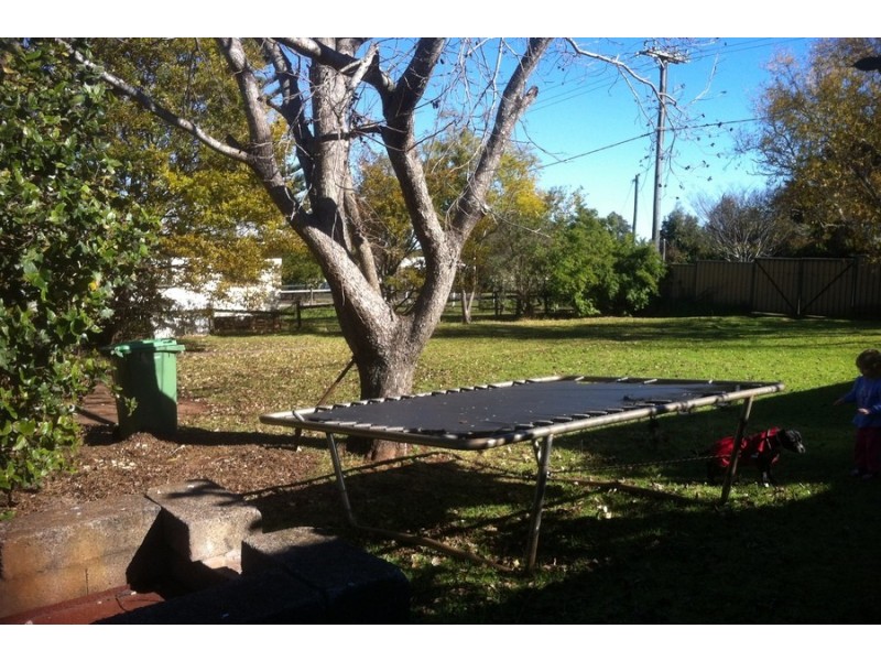 14 Brose Street, Drayton QLD 4350