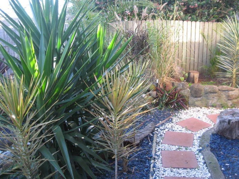 6 Dignan Street, Harristown, Toowoomba QLD 4350