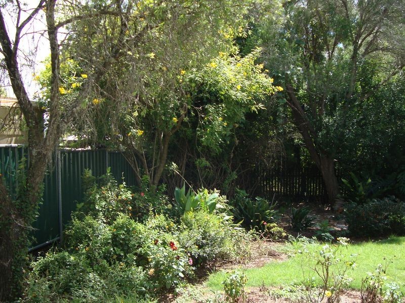 3 Jonathan Street, Rockville QLD 4350