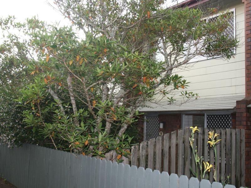 9/6 O’Brien Street, Toowoomba City QLD 4350