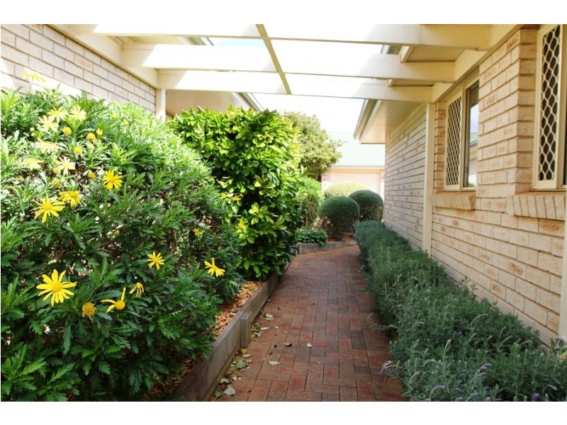 46/14-16 Glenfield Court, Middle Ridge QLD 4350