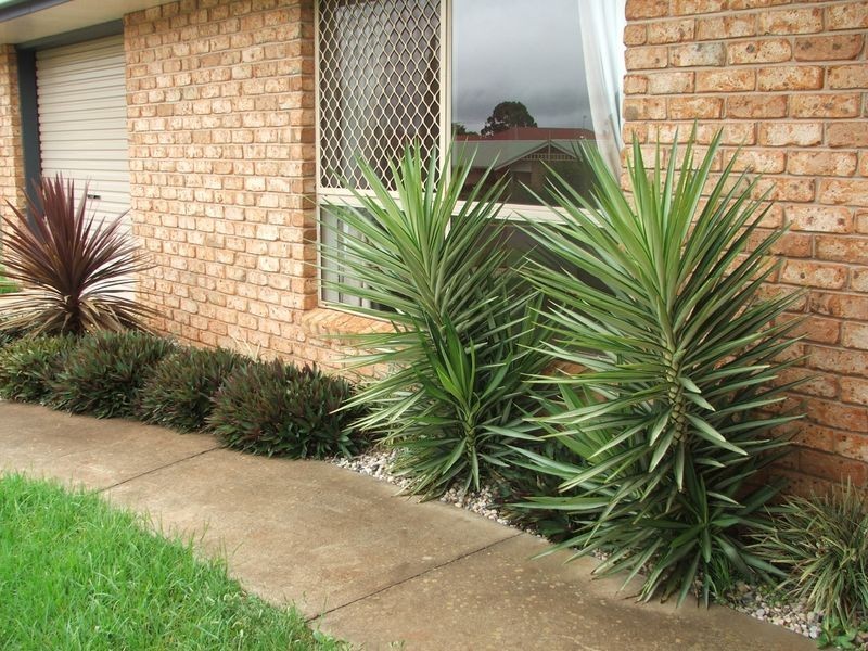 20 Danica Court, Kearneys Spring QLD 4350