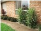20 Danica Court, Kearneys Spring QLD 4350