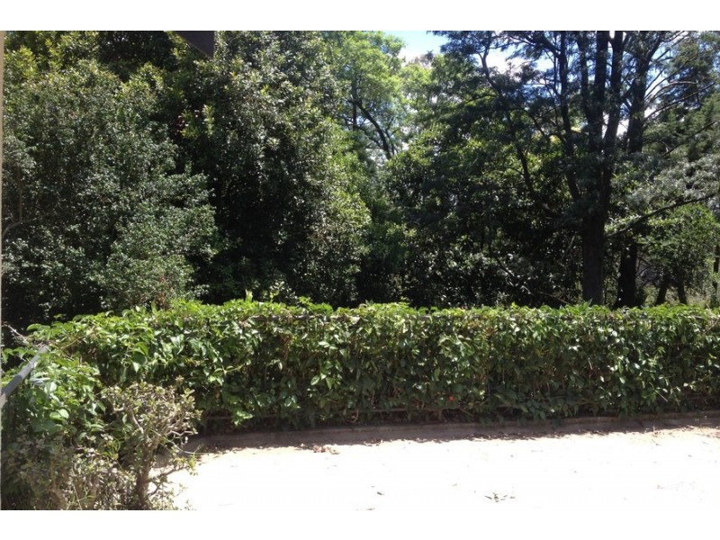 19 Mabel Street, Harlaxton QLD 4350