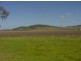 354/2 Wellcamp-Westbrook Road, Wellcamp QLD 4350