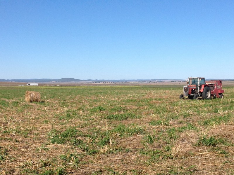 216 Kings Creek Road, Nobby QLD 4360