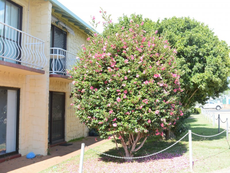 6/67 Taylor Street, Newtown QLD 4350