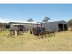250 Vonhoffs Road, Highland Plains QLD 4401