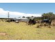 250 Vonhoffs Road, Highland Plains QLD 4401
