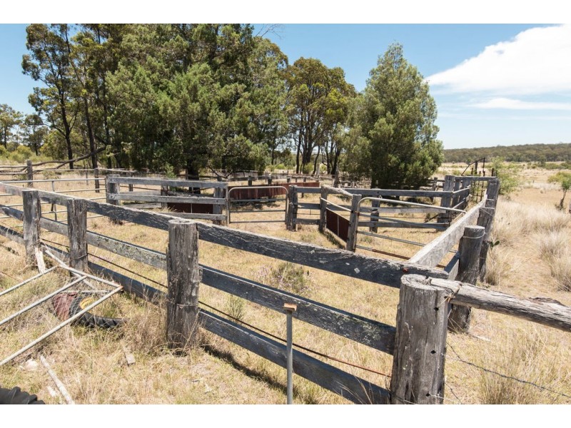 250 Vonhoffs Road, Highland Plains QLD 4401