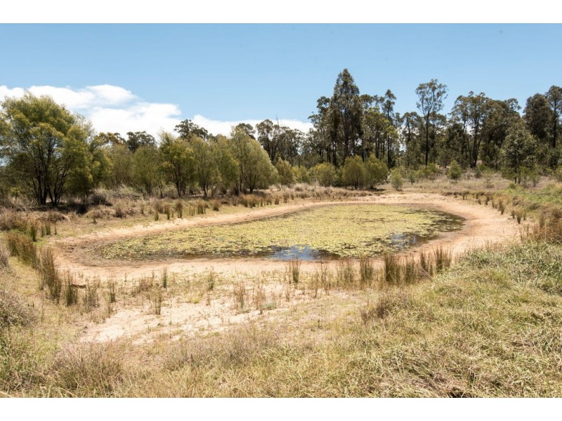 250 Vonhoffs Road, Highland Plains QLD 4401