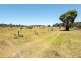 250 Vonhoffs Road, Highland Plains QLD 4401