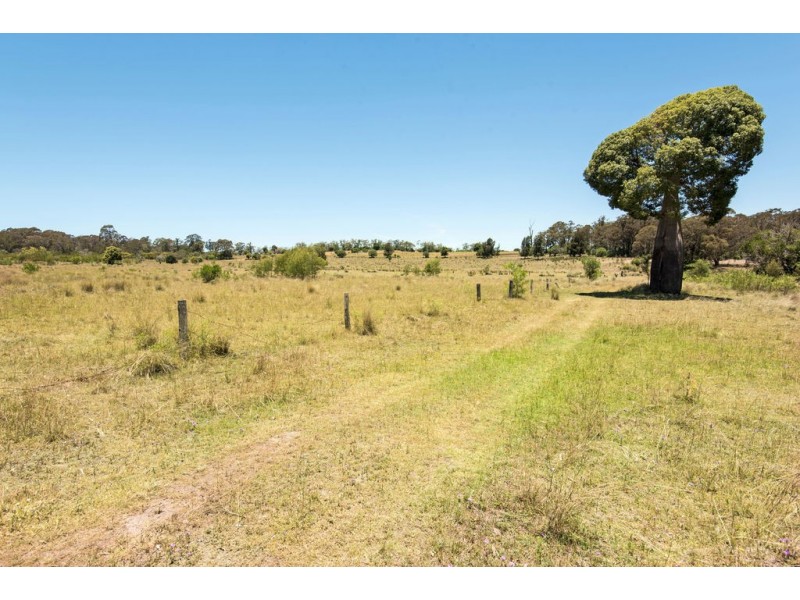 250 Vonhoffs Road, Highland Plains QLD 4401