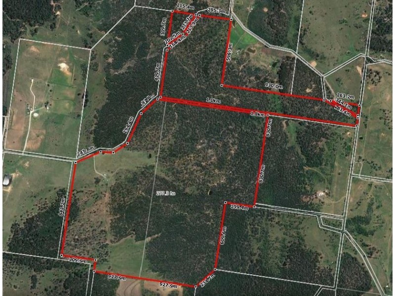 250 Vonhoffs Road, Highland Plains QLD 4401