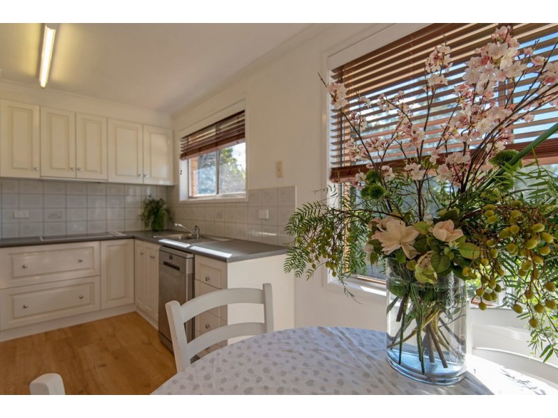 13 Doherty Street, Rockville QLD 4350