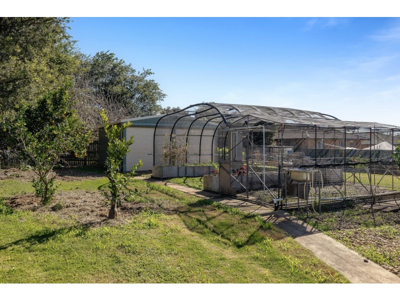 15 Ethel Street, Newtown QLD 4350