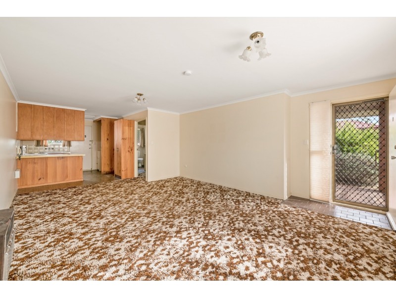 1/4 Clive Crescent, Darling Heights QLD 4350