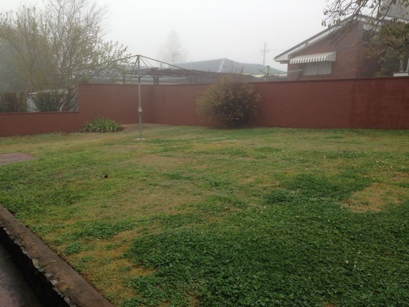 11 Raelyn Street, Centenary Heights QLD 4350