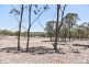 2352 Leyburn Cunningham Road, Pratten QLD 4370