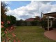 17 Lillypilly Court, Middle Ridge QLD 4350
