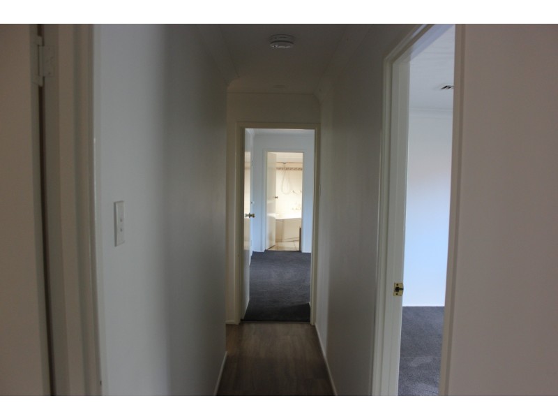 3 Bamboo Court, Darling Heights QLD 4350