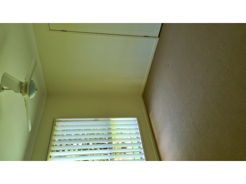 8 Flynn Street, Harlaxton QLD 4350