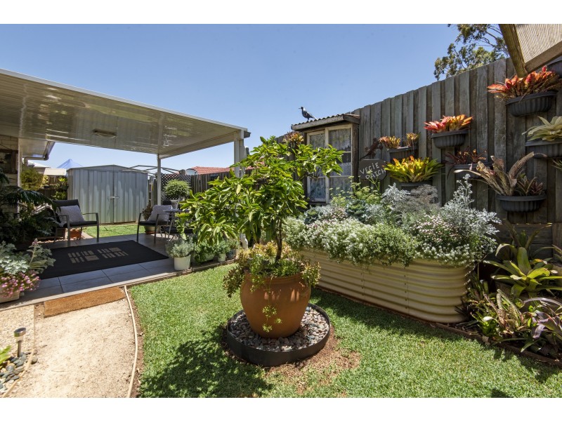 3/3 Amity Court, Harristown QLD 4350