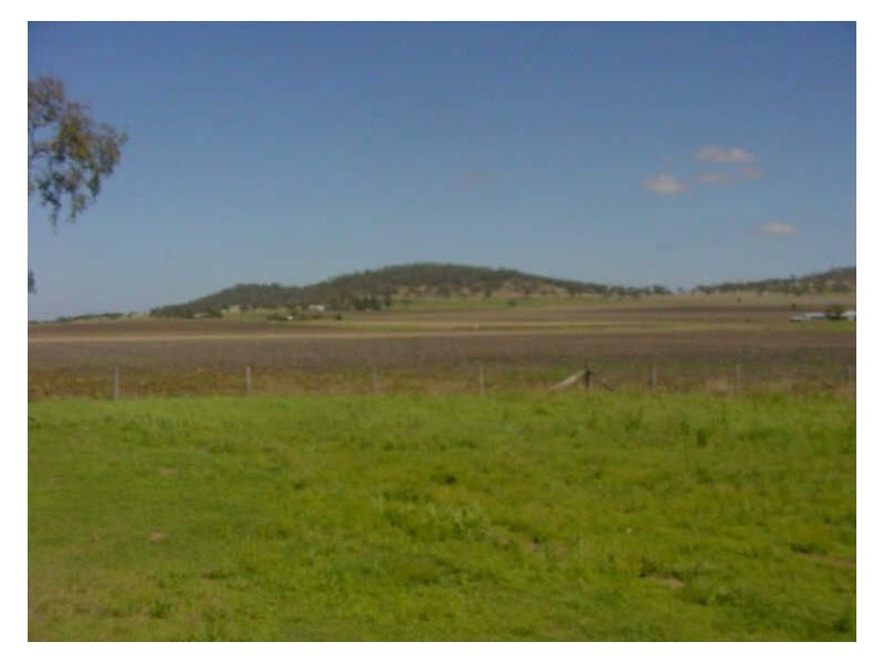 354/2 Wellcamp-Westbrook Road, Wellcamp QLD 4350