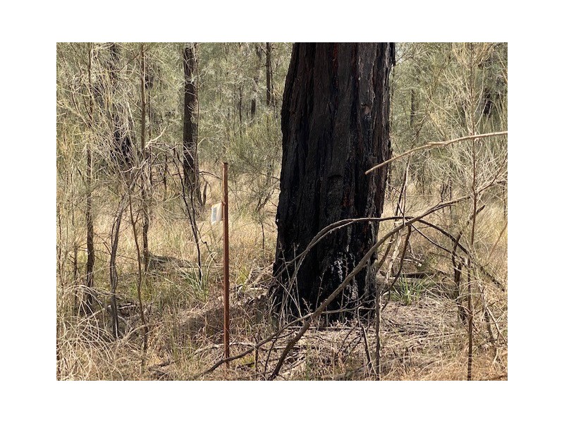 Lot 26/ Millmerran Woods Drive, Millmerran Woods QLD 4357