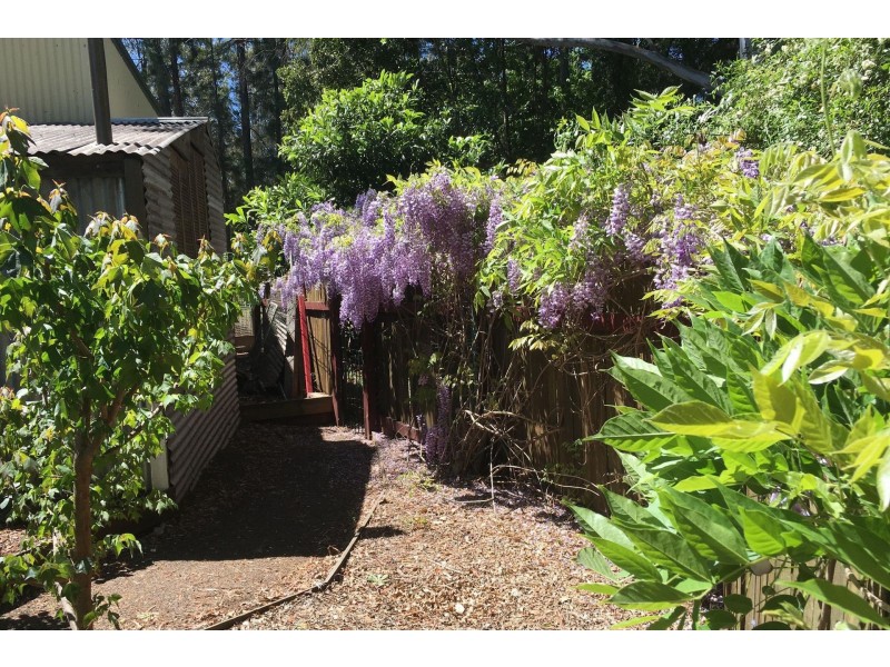 94 Luck Street, Drayton QLD 4350