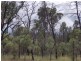 Flamingo Road, The Pines QLD 4357