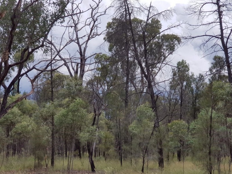 Flamingo Road, The Pines QLD 4357
