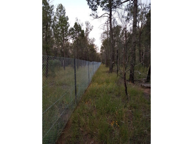 Flamingo Road, The Pines QLD 4357