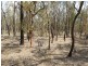 Lot 16/ Thyme Avenue, Forest Ridge QLD 4357